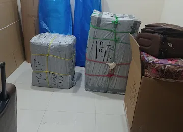 PAK CARGO L L C