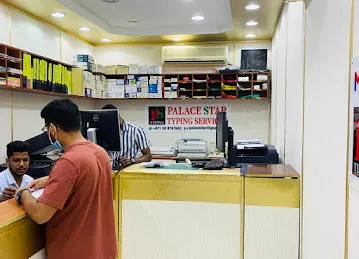 Palace Star Typing Services