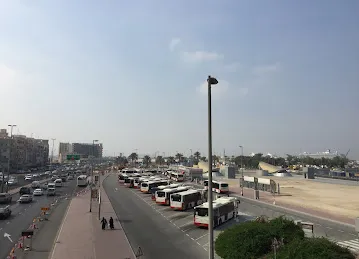 Palm Deira