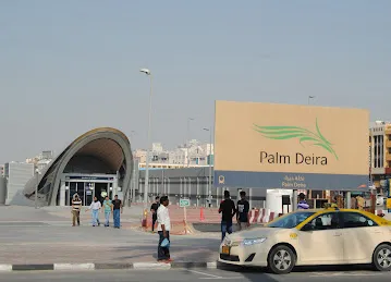 Palm Deira
