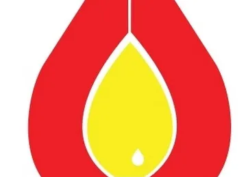 Palm Diesel & Oil Trading LLC