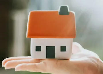 Palma Real Estate