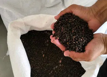 Pan Global Spices