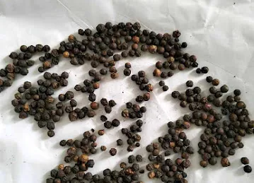 Pan Global Spices