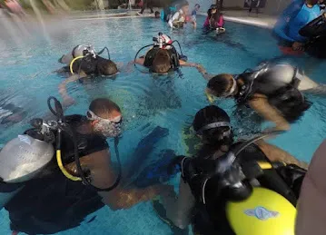 Paradise Blue Diving Center