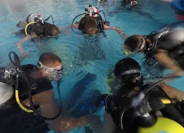 Paradise Blue Diving Center