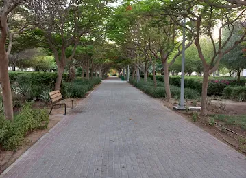 Park with bridge