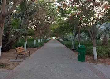 Park with bridge
