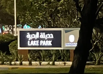 Parking car