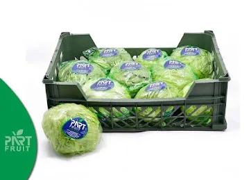 Part Fruit General Trading L.L.C