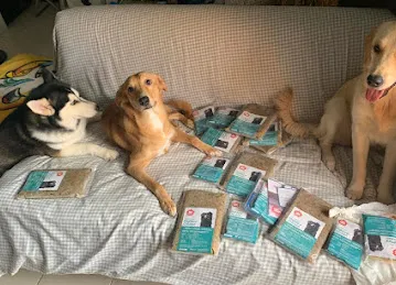 PawPots UAE