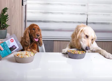 PawPots UAE