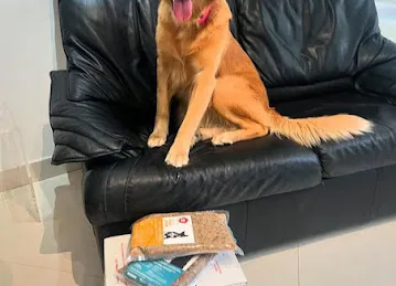 PawPots UAE