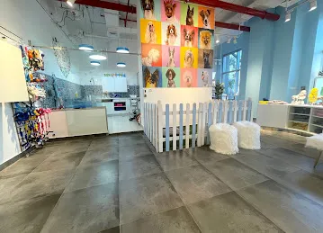 Paws Up Pets Grooming and Store