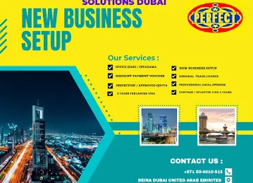 Perfect PRO Business Solutions Dubai