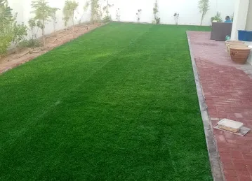 Pet Corner - Jumeirah Village Circle Branch