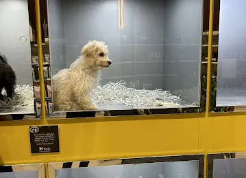Pet Stop