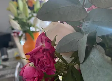 Petals Flowers and Events