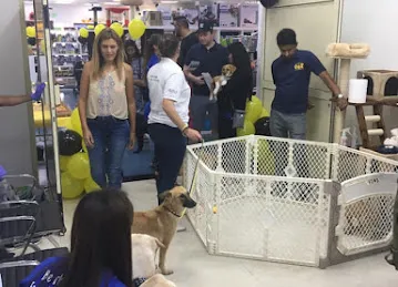 PetMart