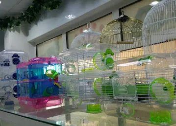 Pets on click