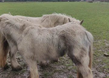 Pilot One Computer Systems Casio Cash Register distributor