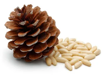 PINE NUTS