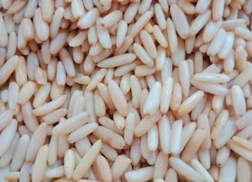 PINE NUTS