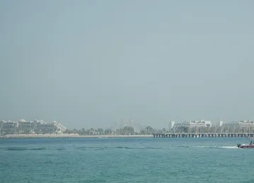 PJC01 DCP