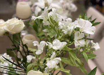 Plaisir Cadeaux et Fleurs | Flower Shop | Order Flowers Online