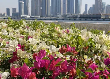 Planet Adventures Tourism LLC Dubai UAE
