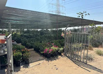 Plant Nursery