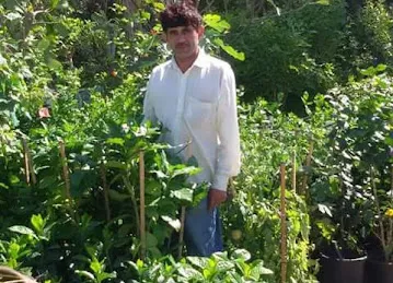 plant sales