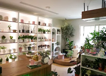 Plant Studio