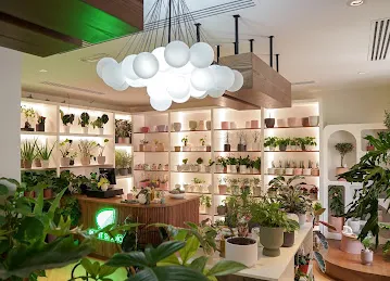 Plant Studio