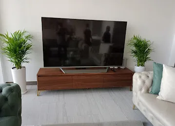 PLANT TO HOME