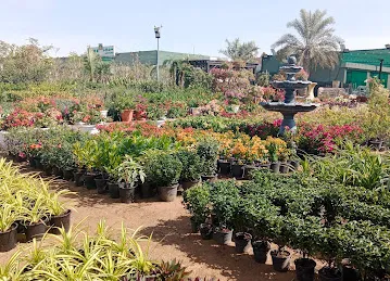 Planterra Landscape LLC