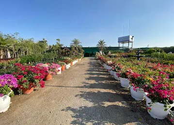 Planterra Landscape LLC