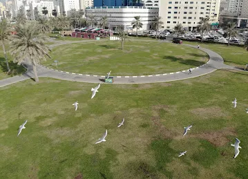 Play ground