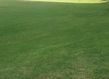 Play Ground Cluster Q