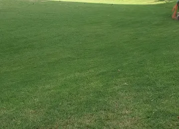 Play Ground Cluster Q