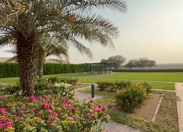 Playing Area