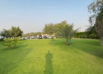 Playing Area