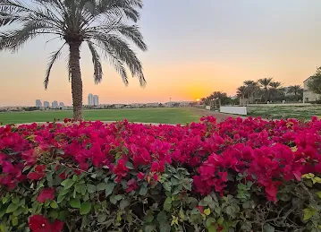 Polo Field 1
