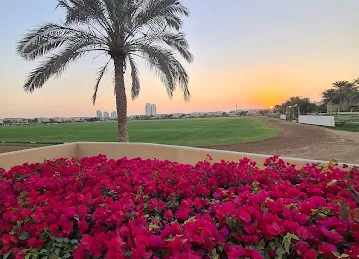 Polo Field 1