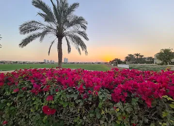 Polo Field 1