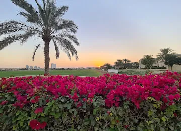 Polo Field 1