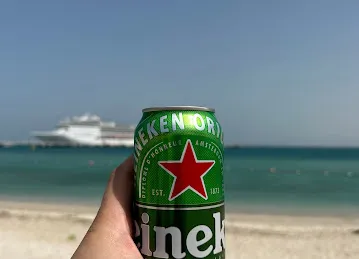 porto msc dubai