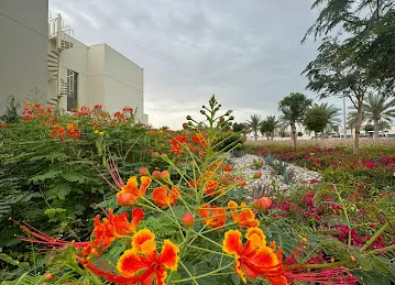 Prana MAG-24 The Estate al Furjan west