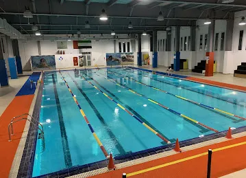 Premier Sport Services