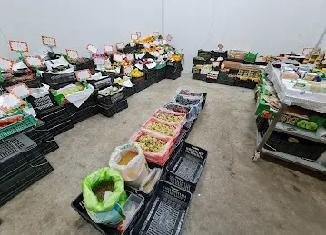 Prime plus lebanese vegetables